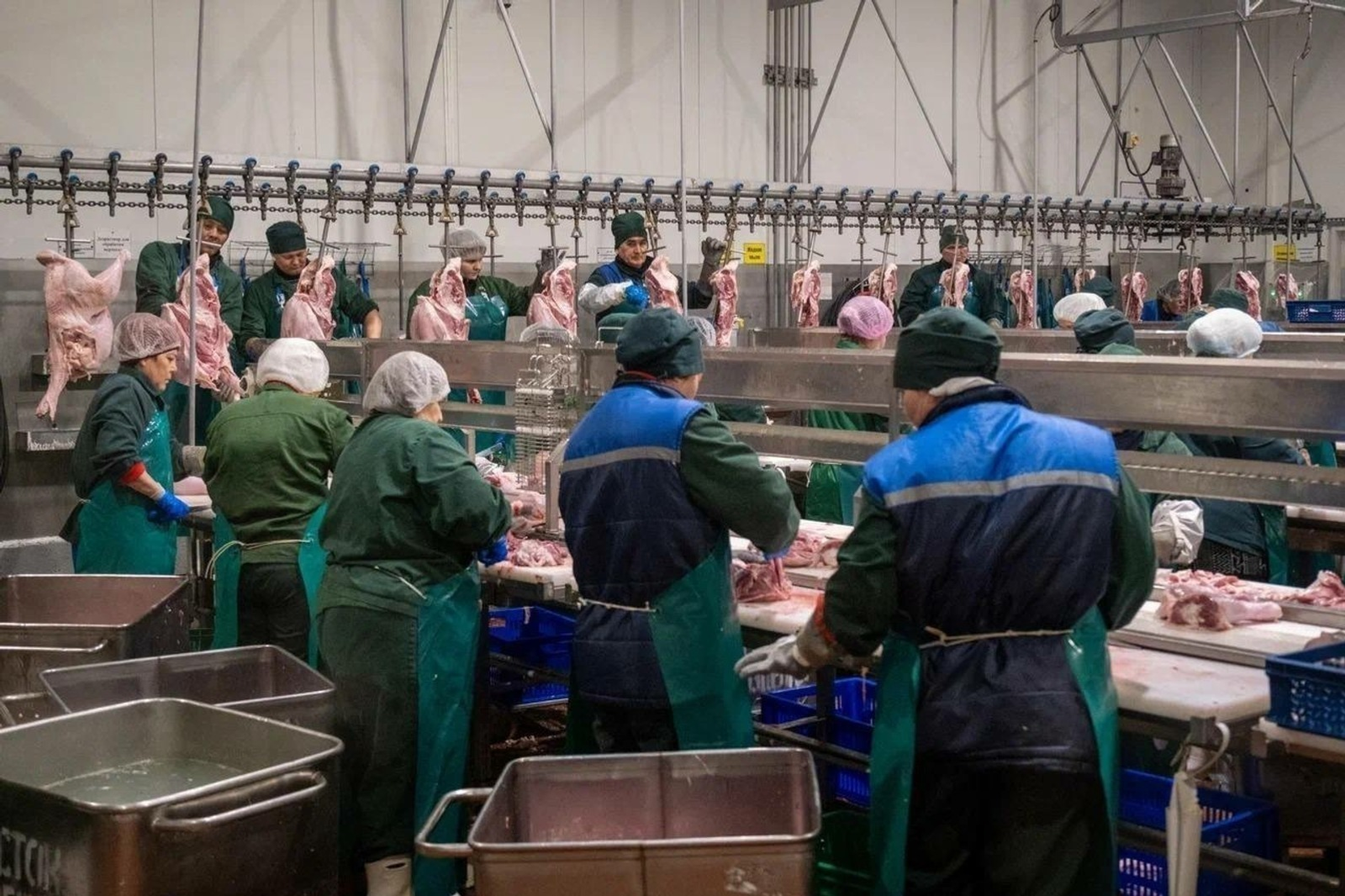 Башкирия экспортировала в Африку более 400 тонн полуфабрикатов из индейки