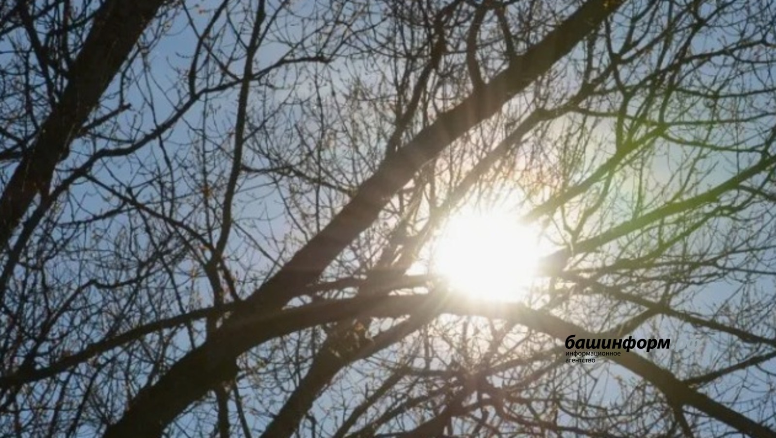 Полярные сияния ожидаются в Башкирии в ночь со вторника на среду