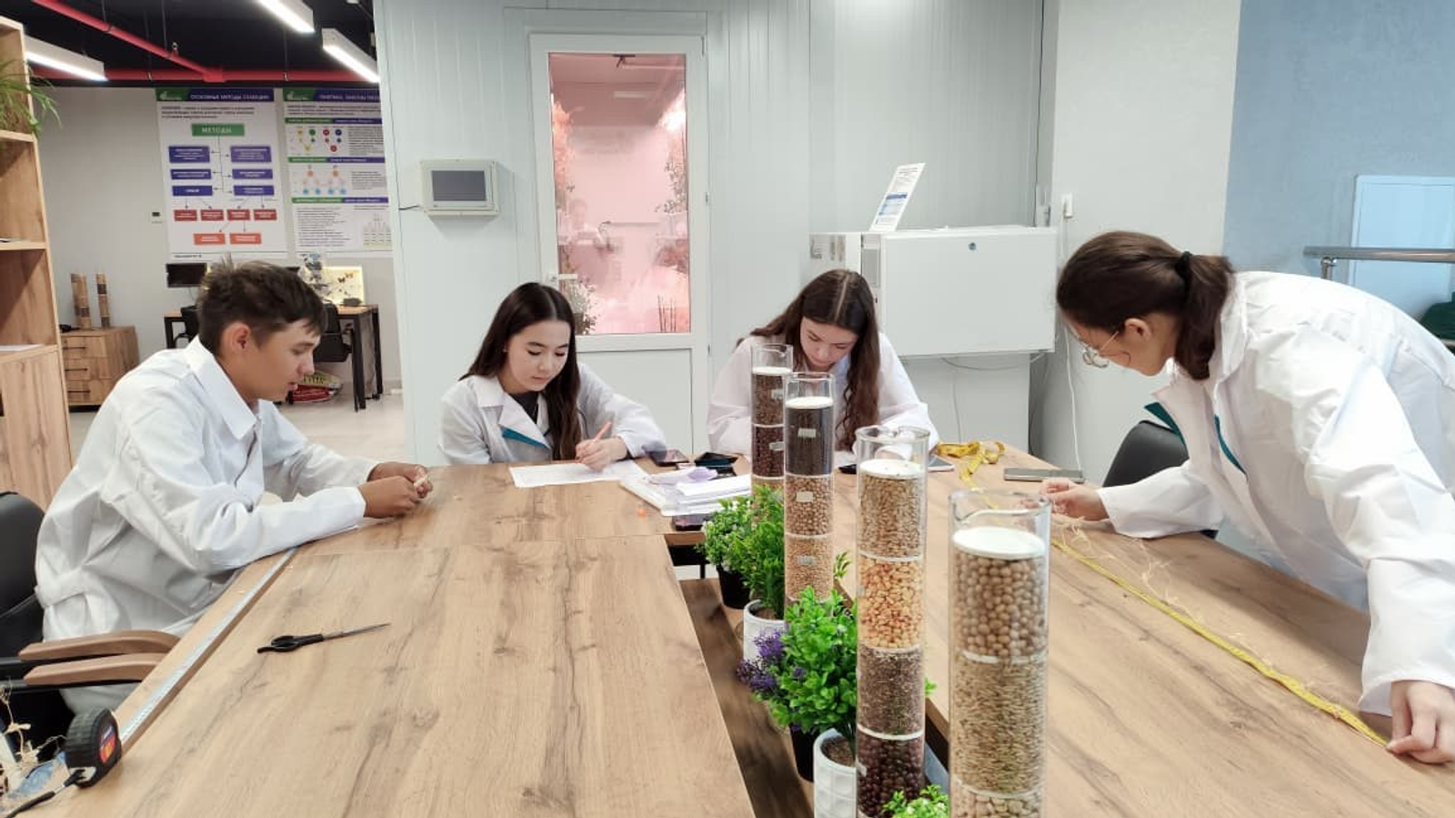 В Межвузовском кампусе Уфы завершен успешный эксперимент по гибридизации гороха