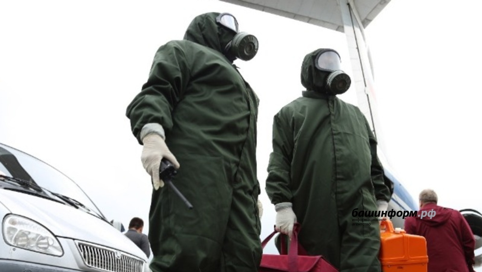 В одном районе Башкирии объявлен карантин по бешенству