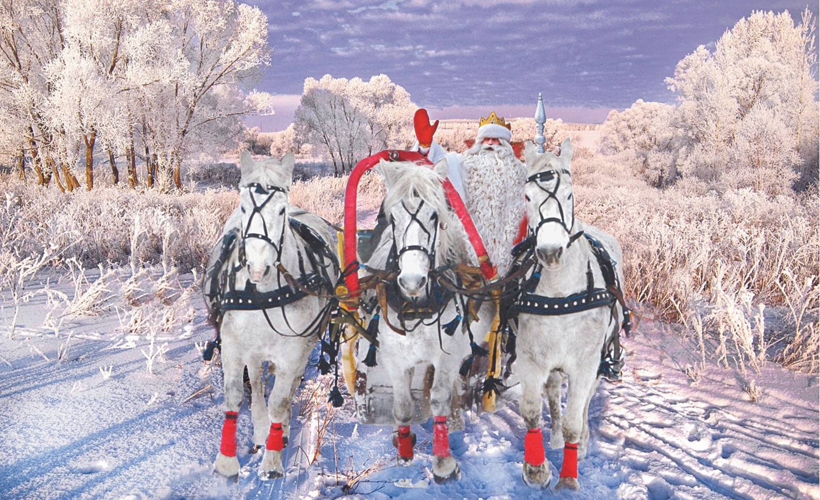 Новогоднее