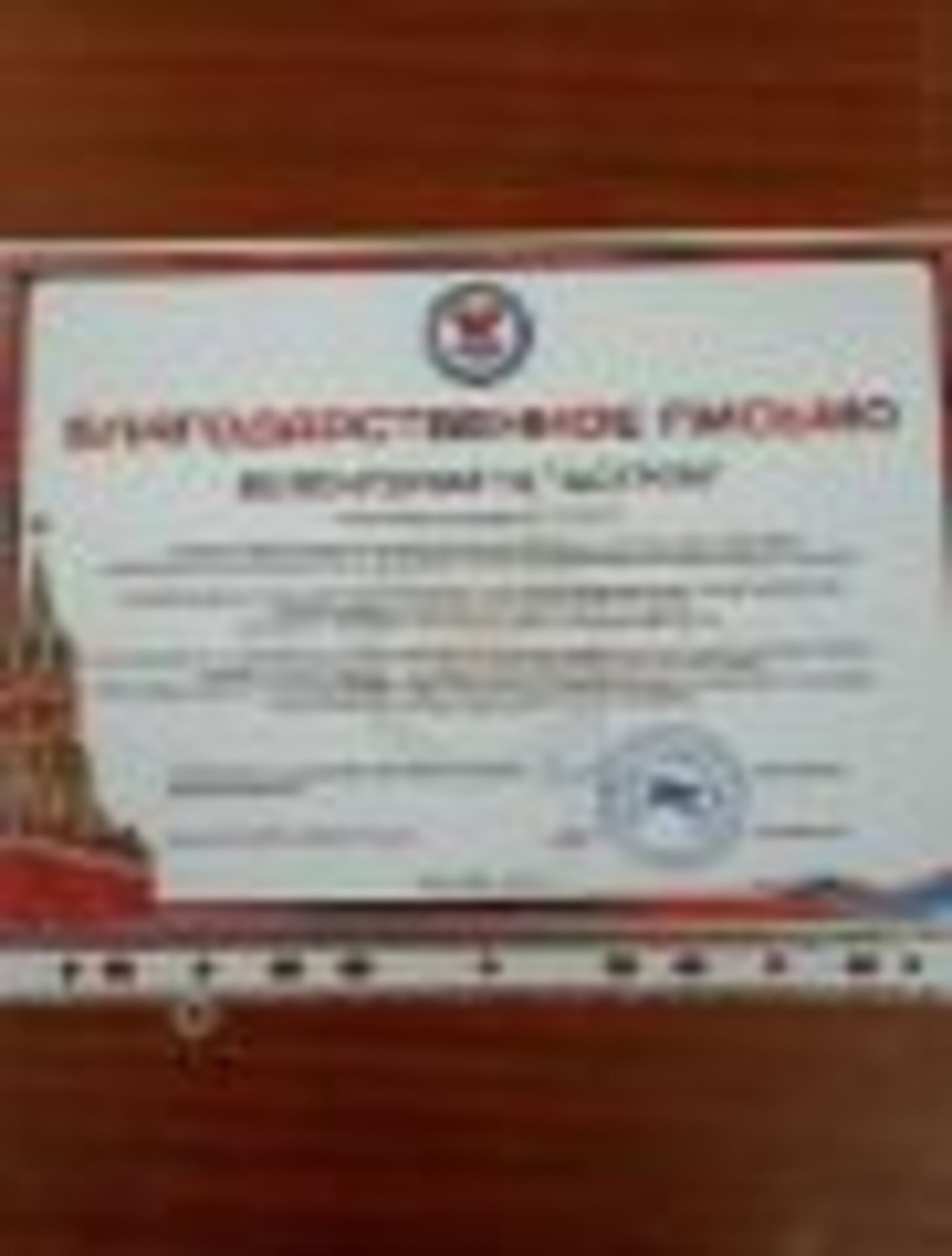 Благодарность из Москвы - движению «Вместе к победе России» г. Стерлитамака