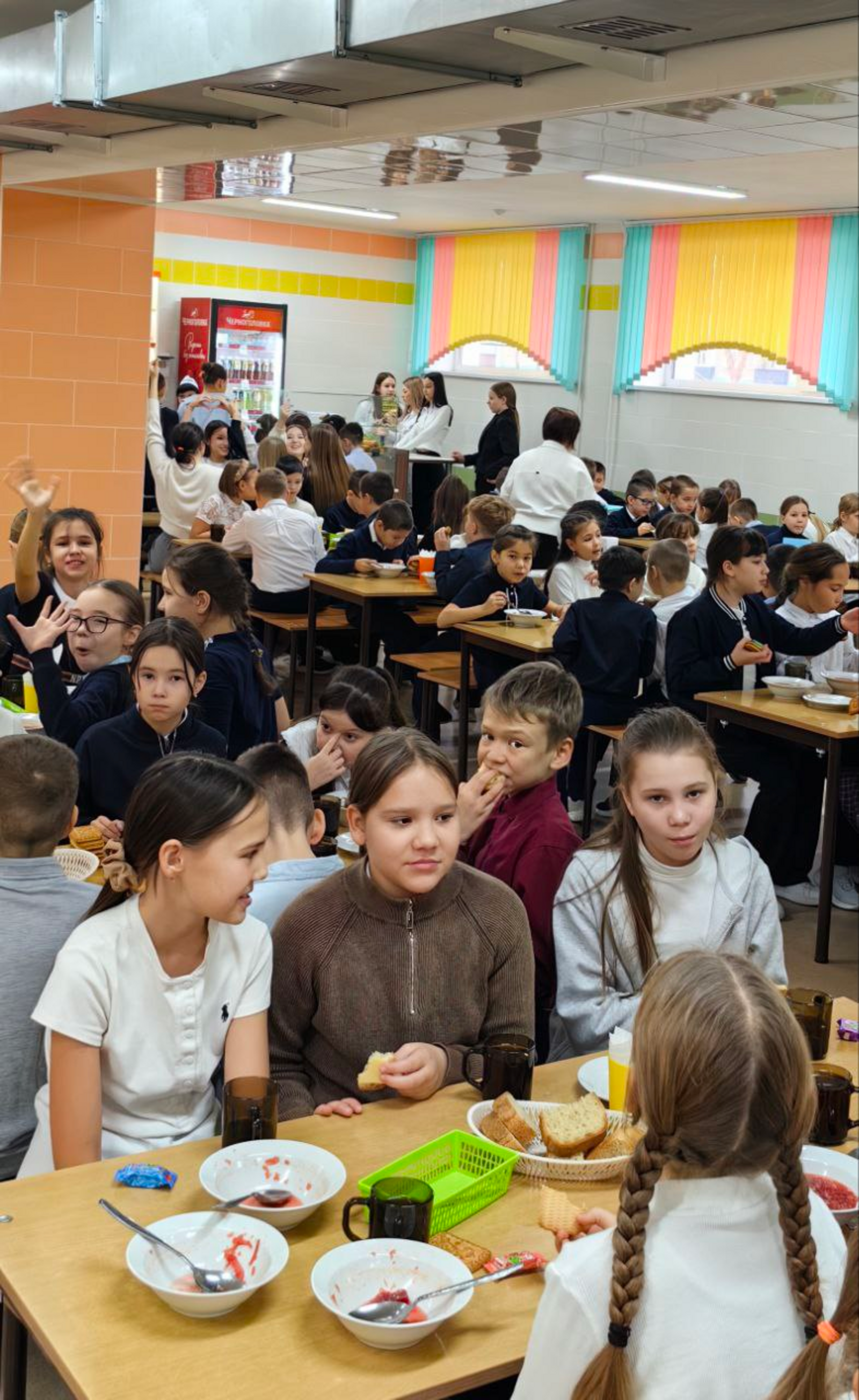 Прокрустово ложе школьных обедов