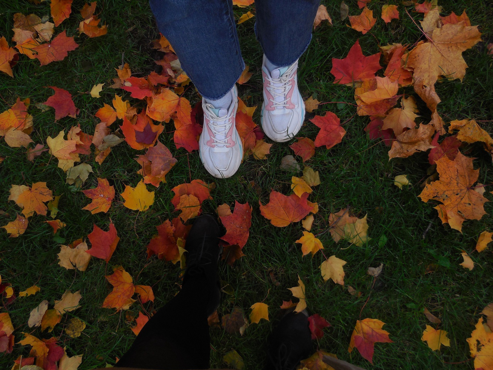 Как жителям Башкирии сохранить здоровье и энергию осенью