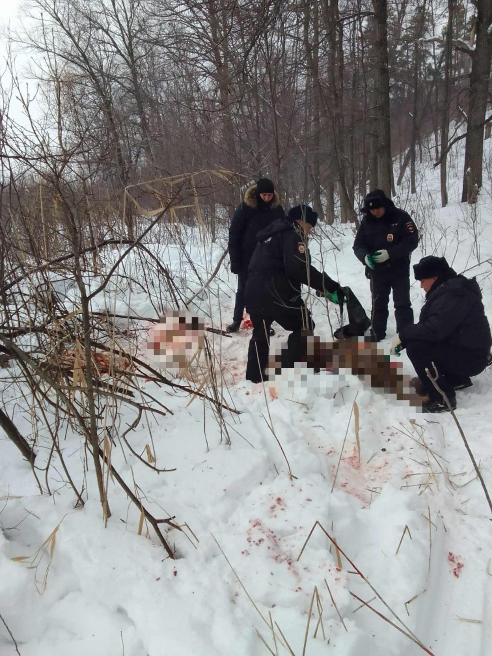 В Башкирии опытный охотник нашёл браконьера по следам на снегу