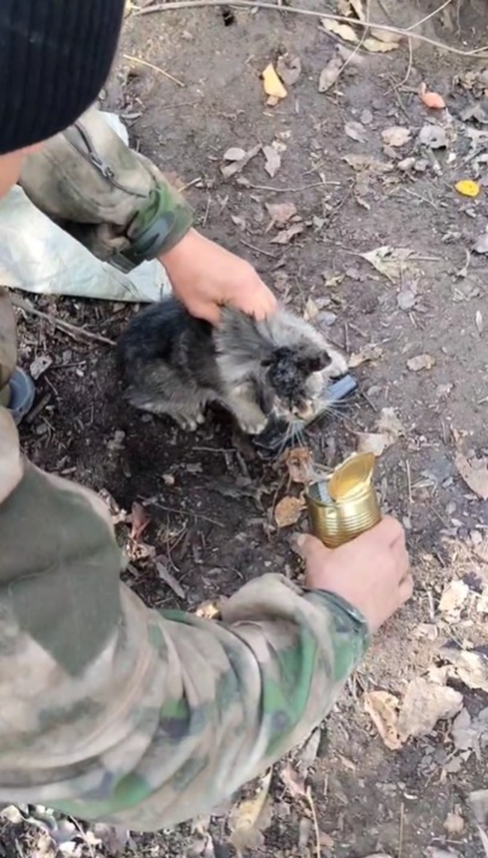 Бойцы одного из башкирского батальона спасли кота