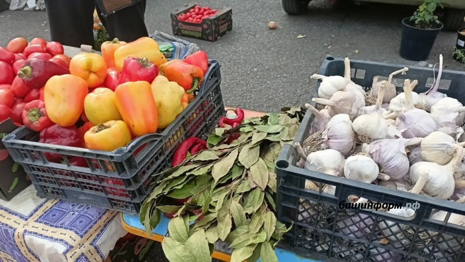 В Башкирии зафиксированы изменения цен на продукты и топливо