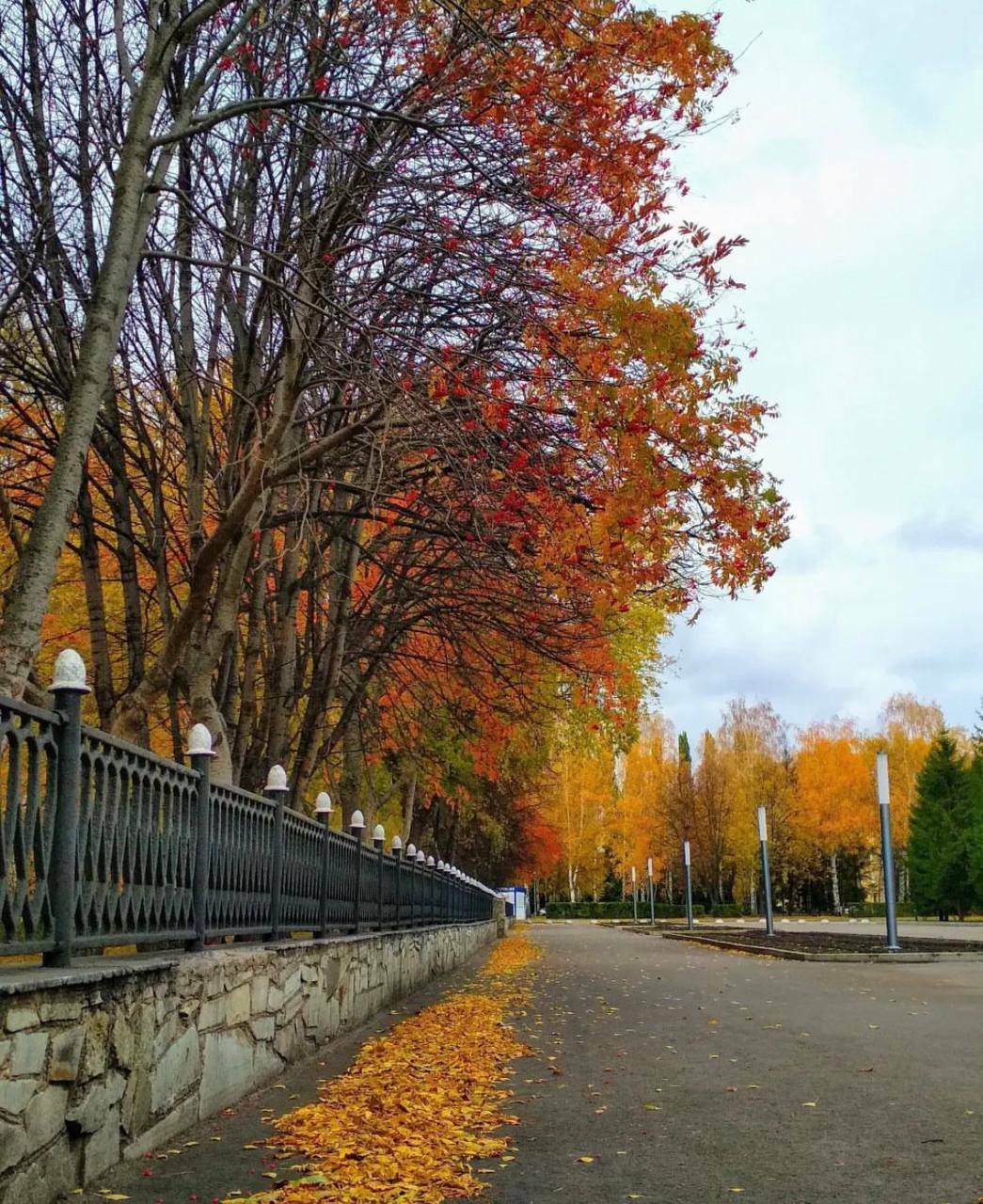В Башкирии ожидается тёплый ноябрь