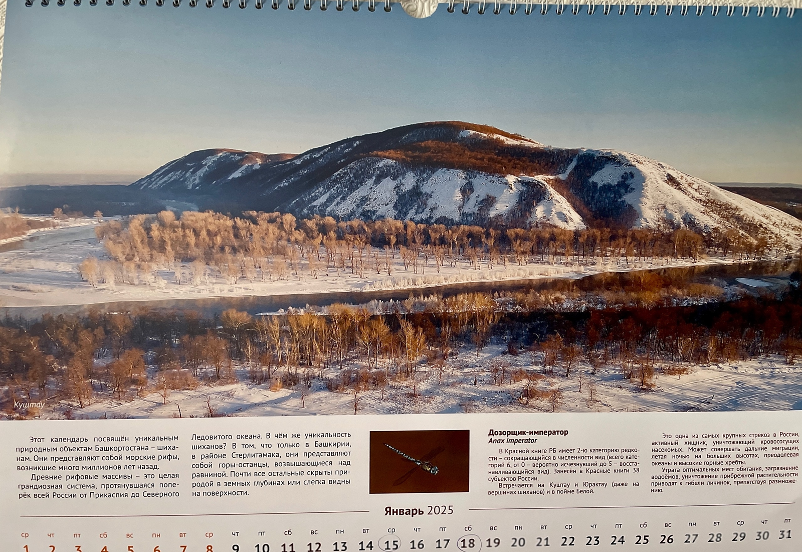 Минтруд: грядущие новогодние каникулы станут самыми длинными