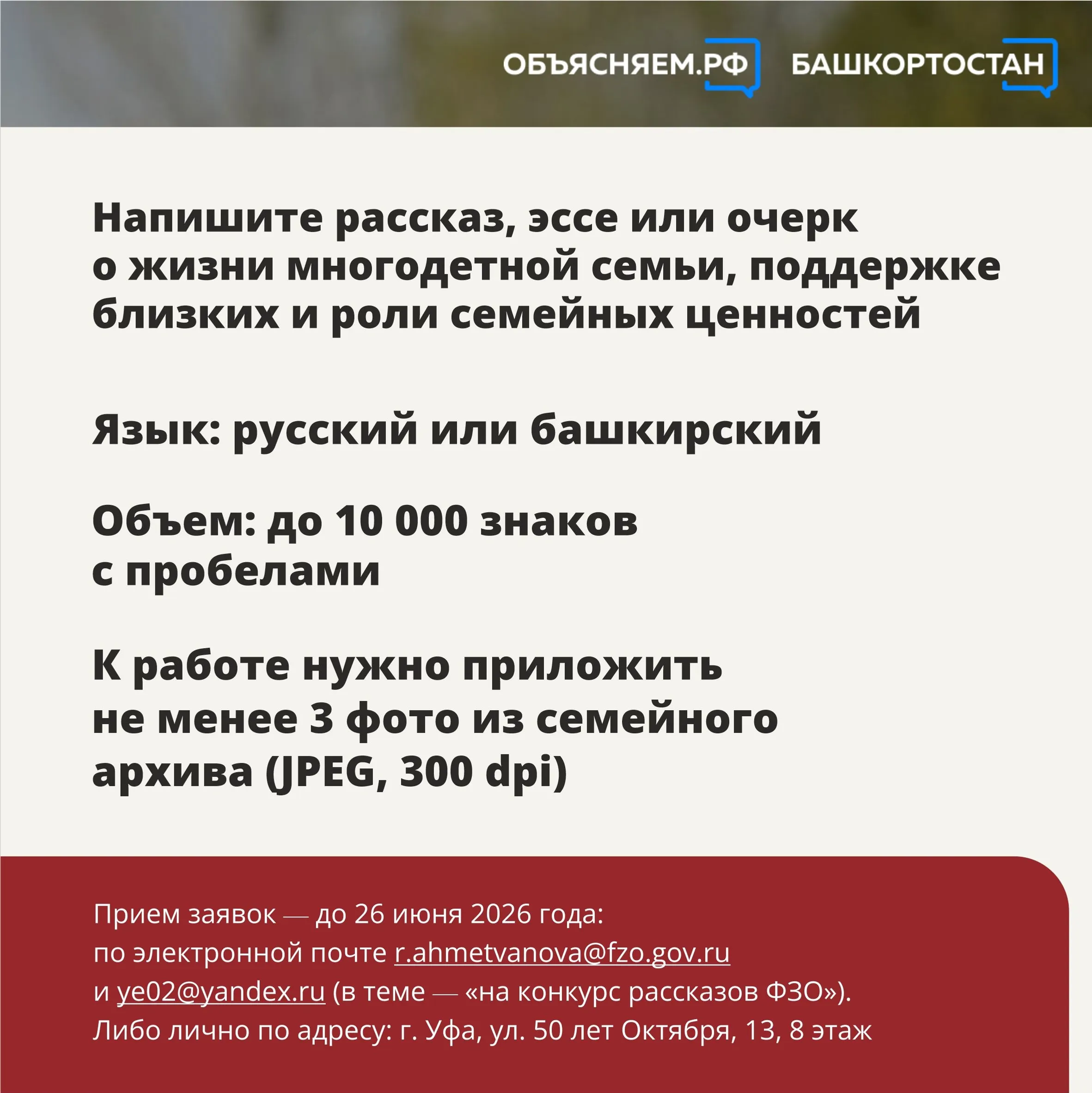 В Башкортостане проходит конкурс историй о многодетных семьях участников СВО