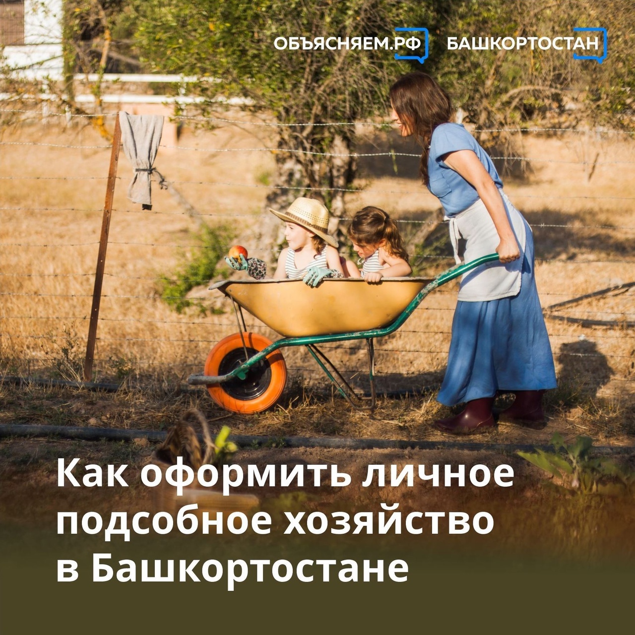Как оформить личное подсобное хозяйство в Башкортостане?