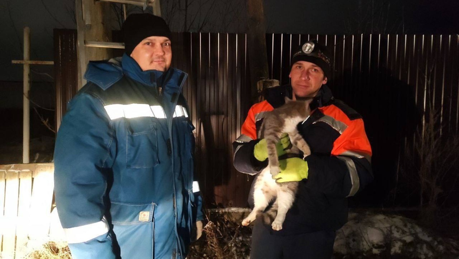 В Башкирии прошла операция по спасению котенка, забравшегося на электрический столб