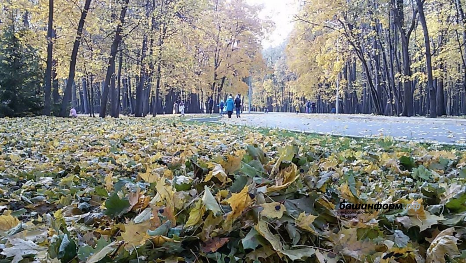 В Башкирии потеплеет до +9 градусов