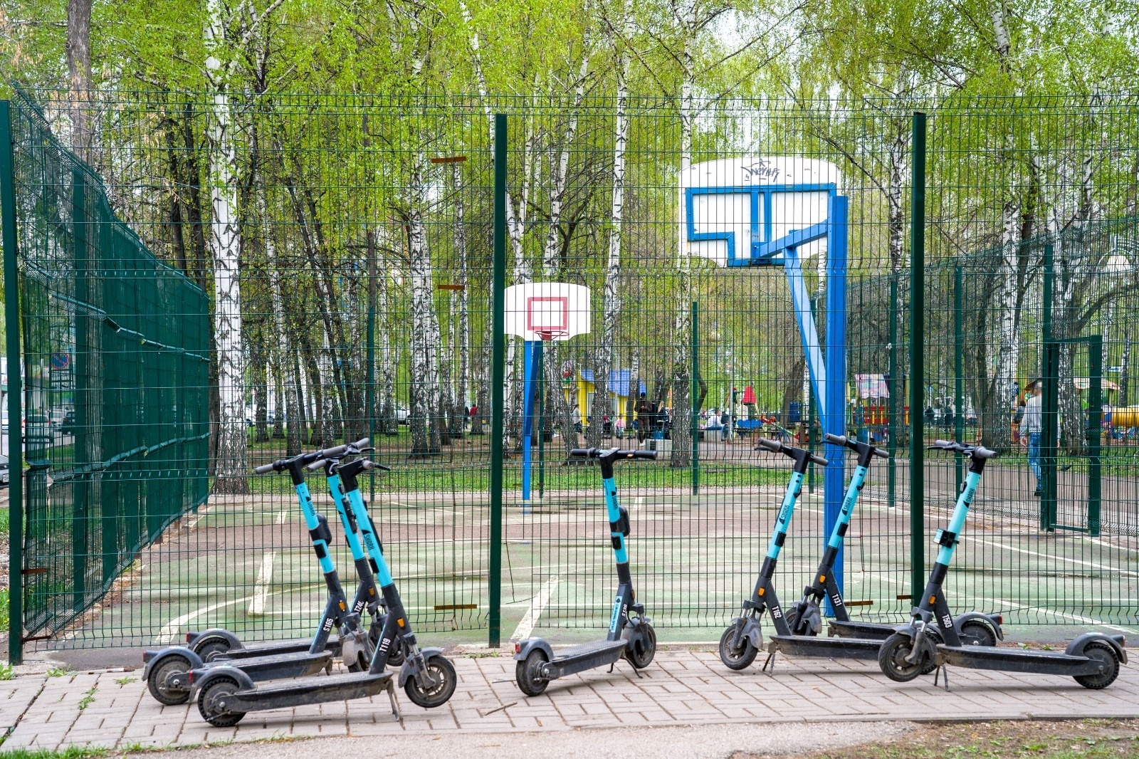 Куда катимся?