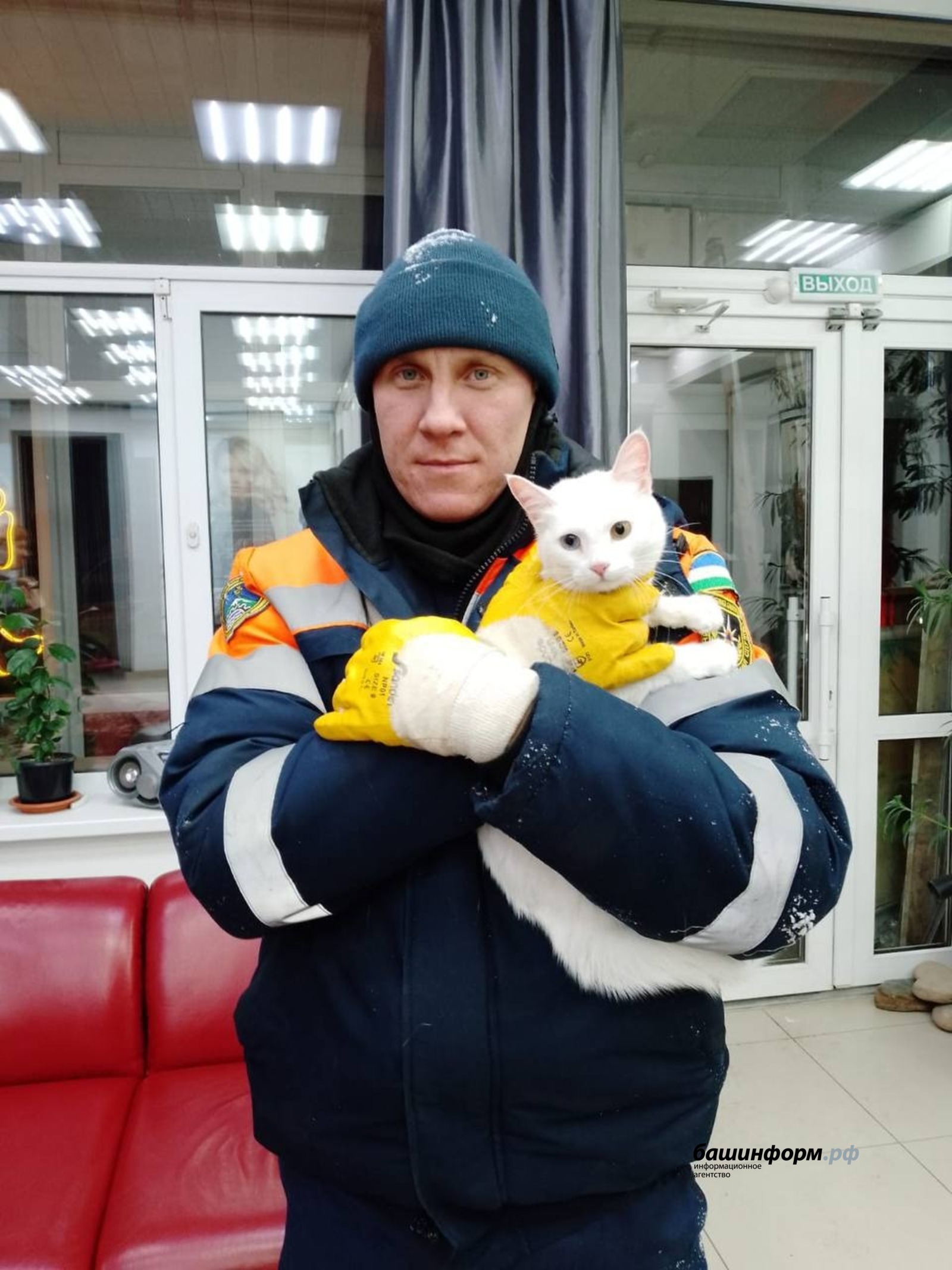 В Башкирии спасатели освободили застрявшего между двумя зданиями кота