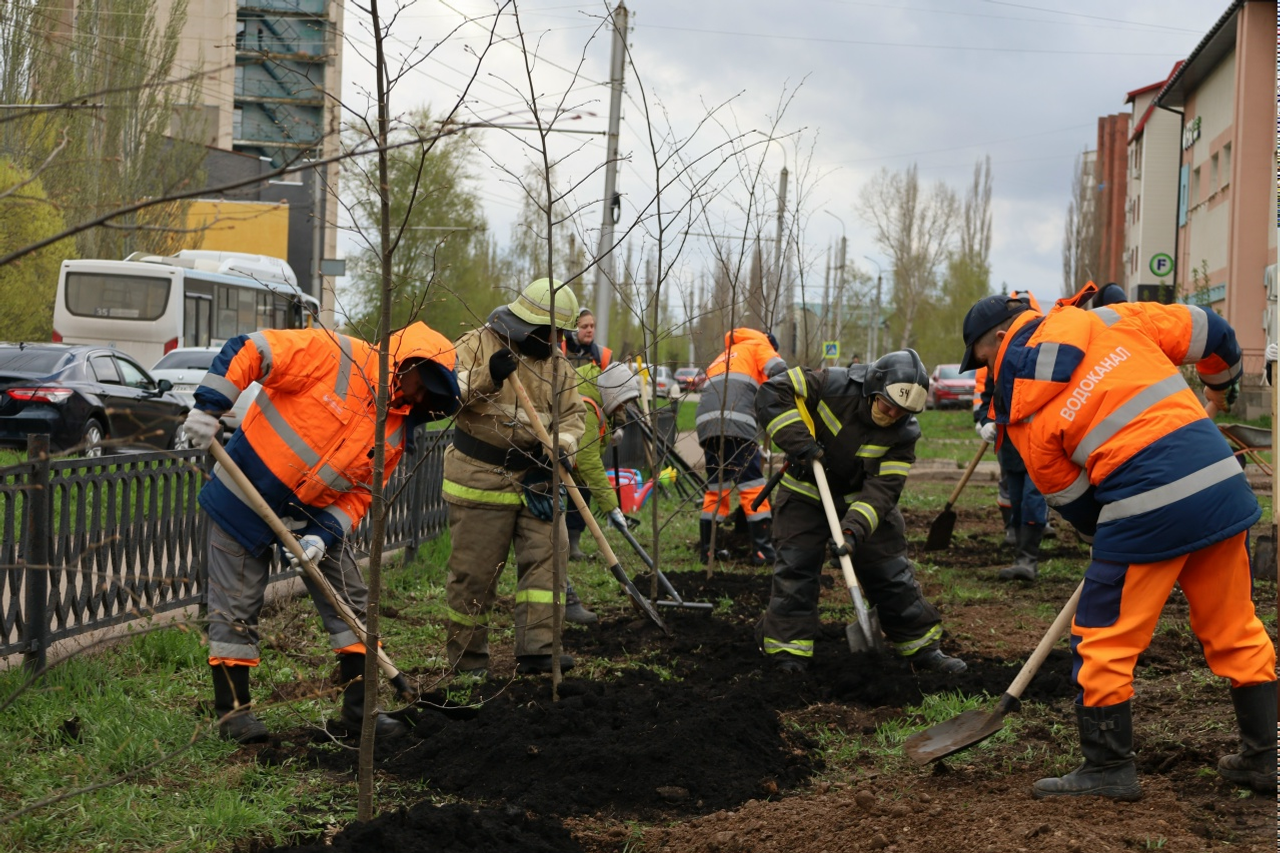 Жители Стерлитамака высадили деревья и приняли участие в  субботнике