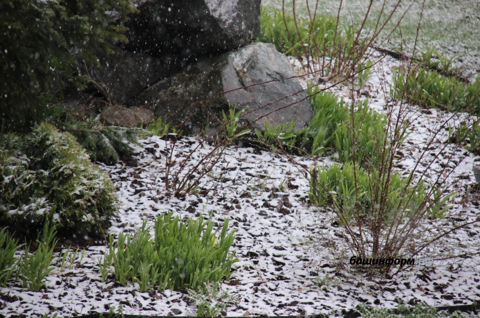 Синоптики предупредили о возможном выпадении снега в Башкирии
