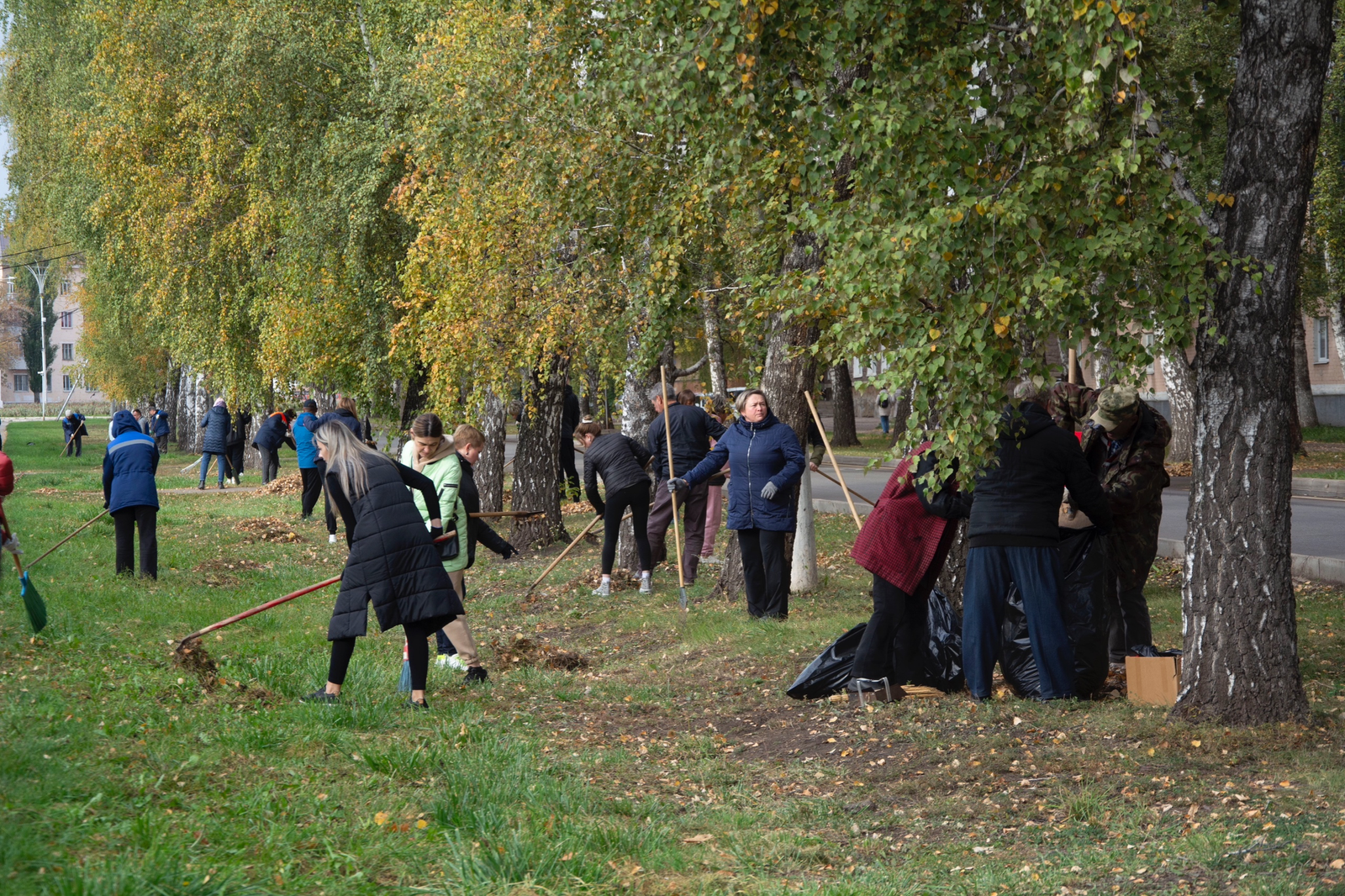 Стерлитамак стал чище и зеленее