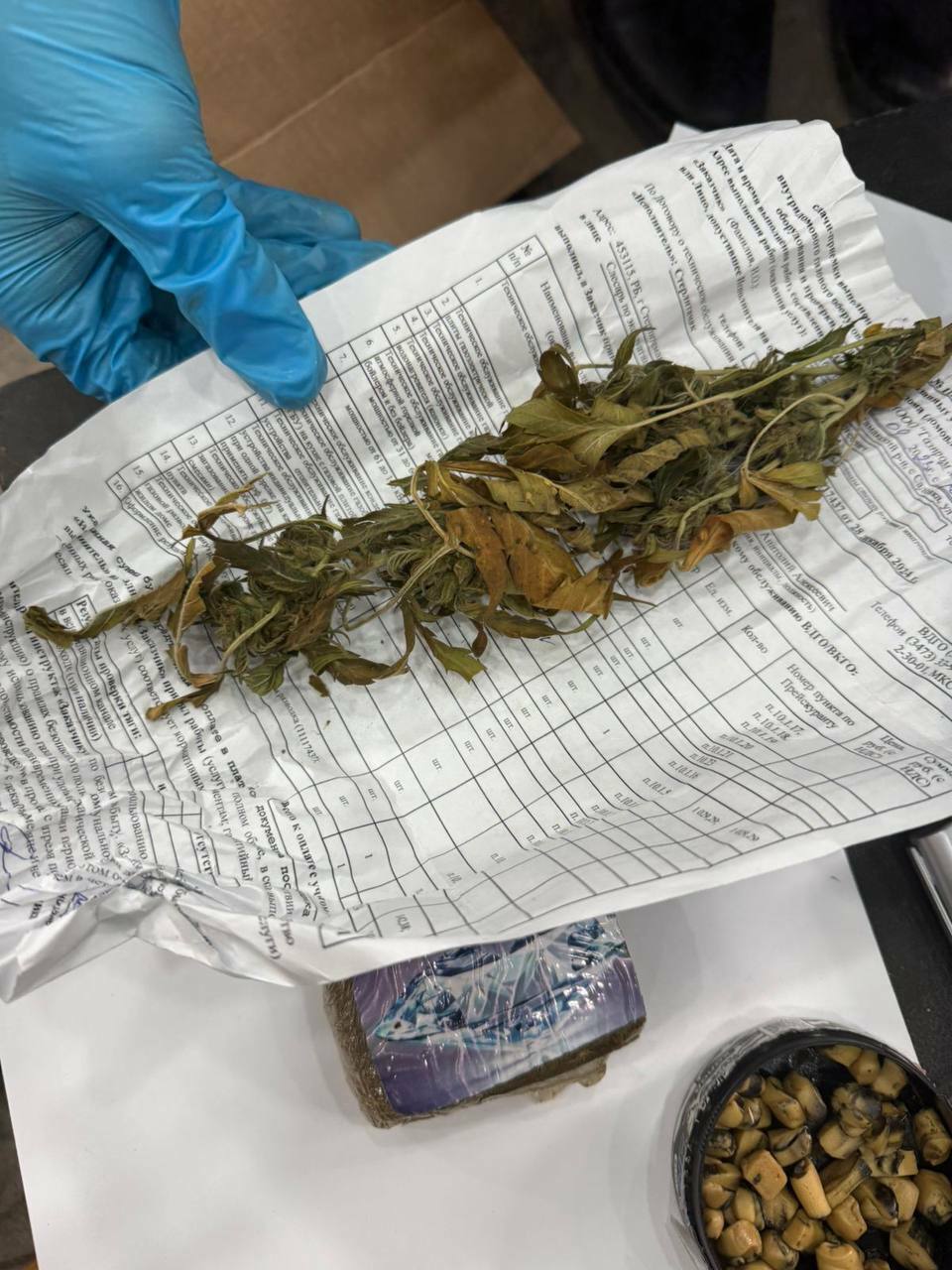 Жителя Стерлитамака  задержали с крупной партией наркотиков