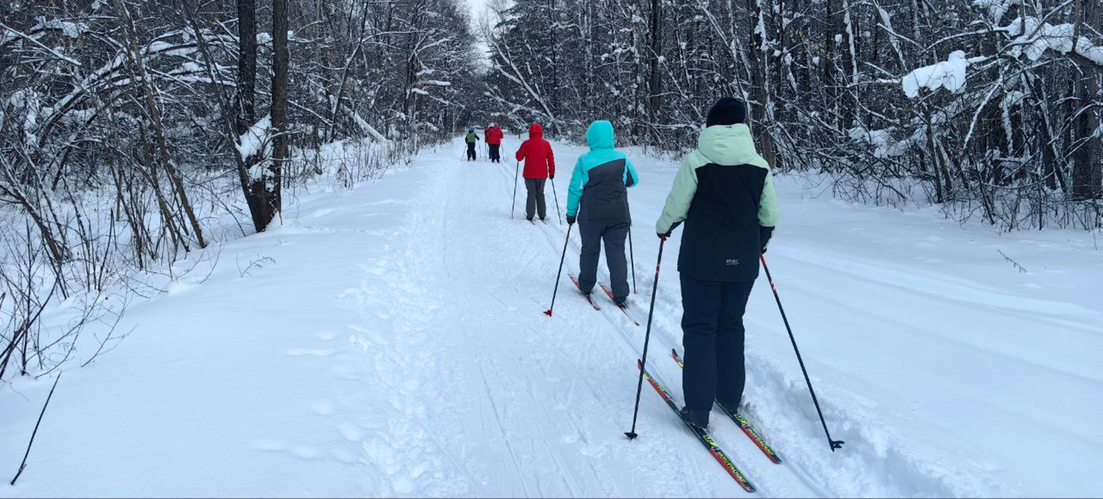 Лыжные прогулки