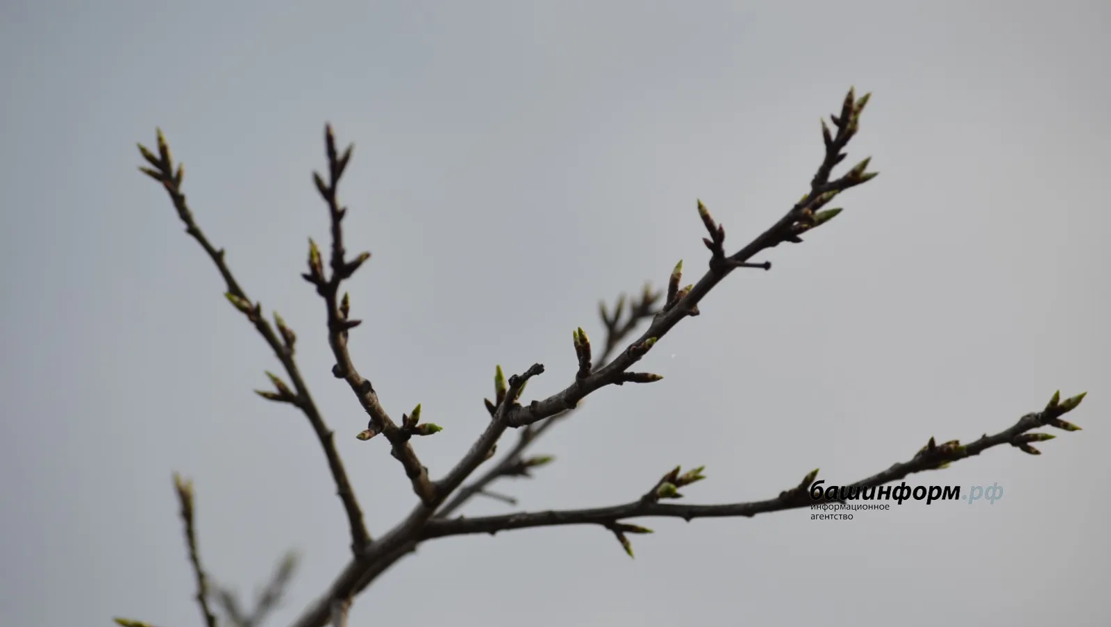 В Башкирии похолодает до -5°