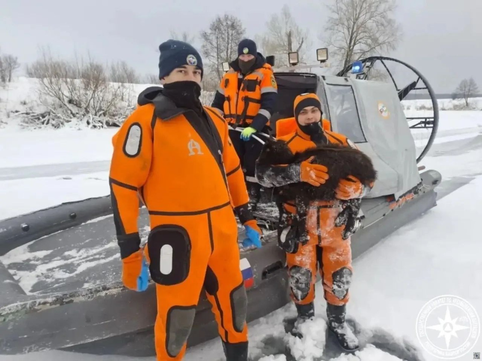 Спасатели в Башкирии обнаружили выжившую овцу после массовой гибели стада