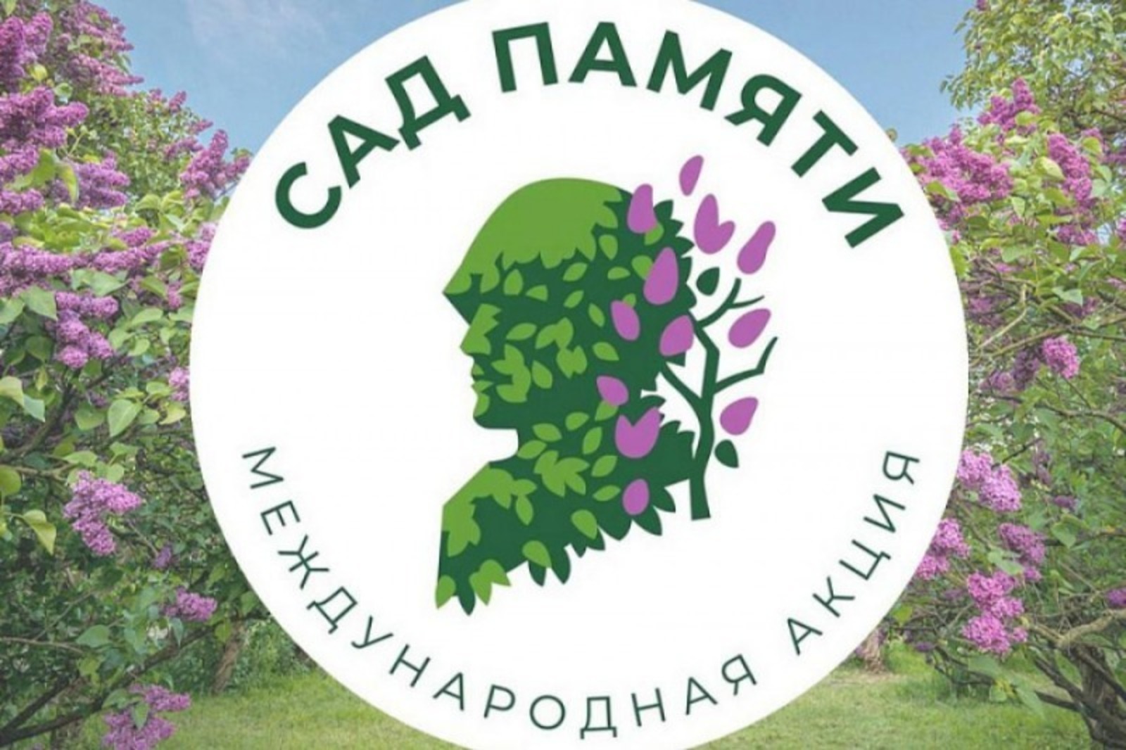 В Башкирии в рамках акции "Сад памяти" высажено 580 тысяч деревьев