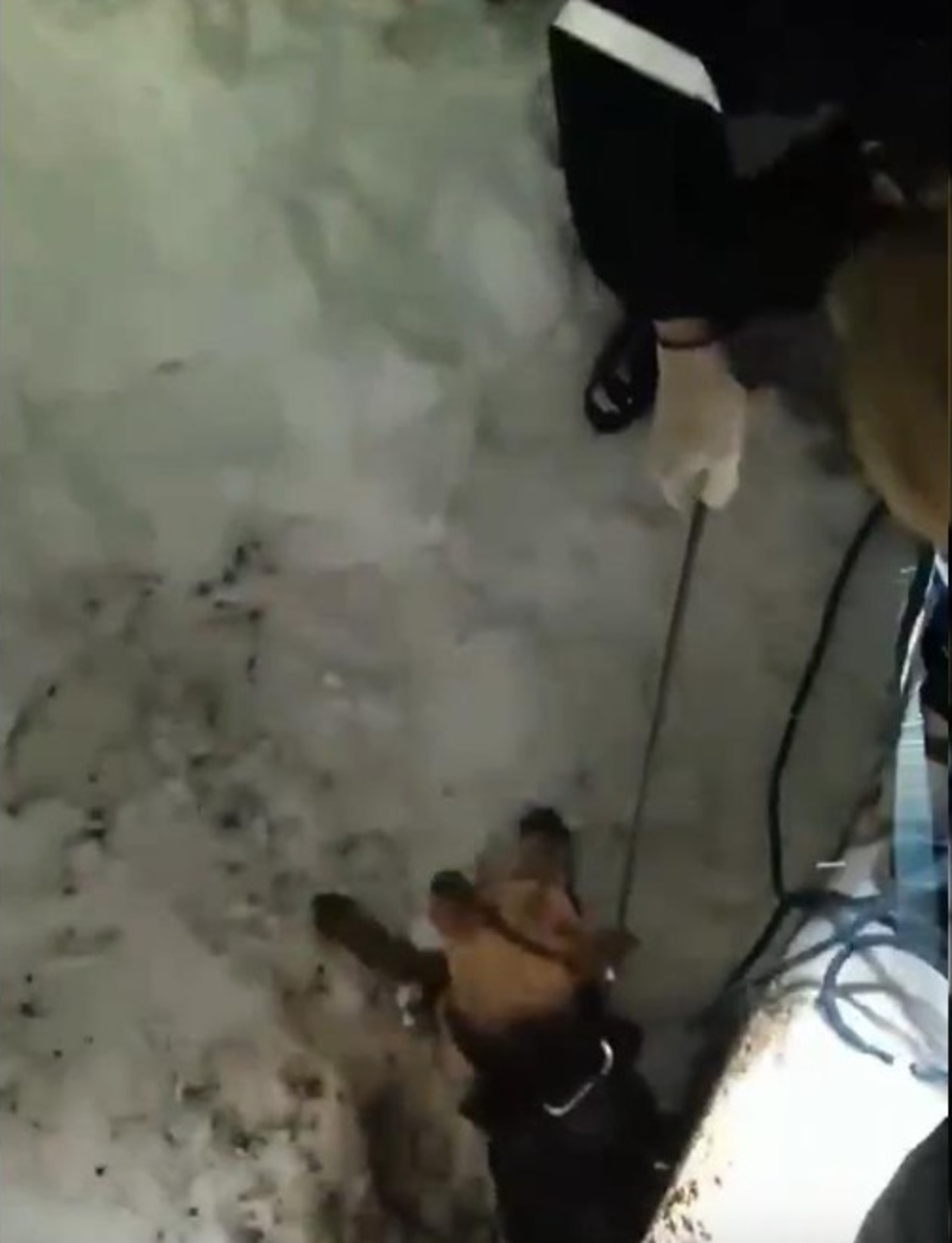 В Башкирии спасатели вытащили собаку из глубокого колодца