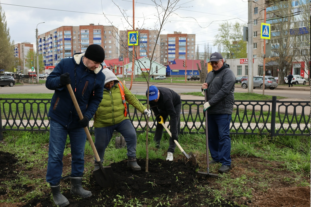 Жители Стерлитамака высадили деревья и приняли участие в  субботнике