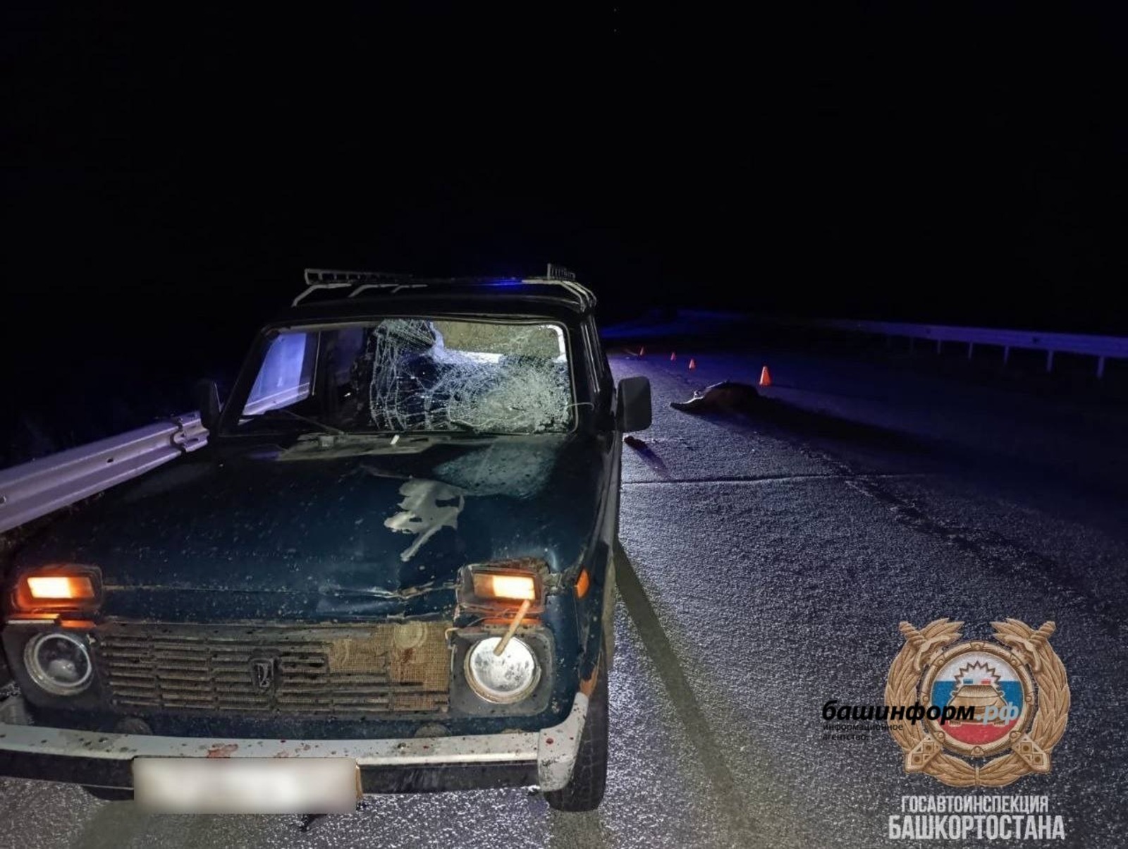 В Башкирии в ДТП погибли два пешехода