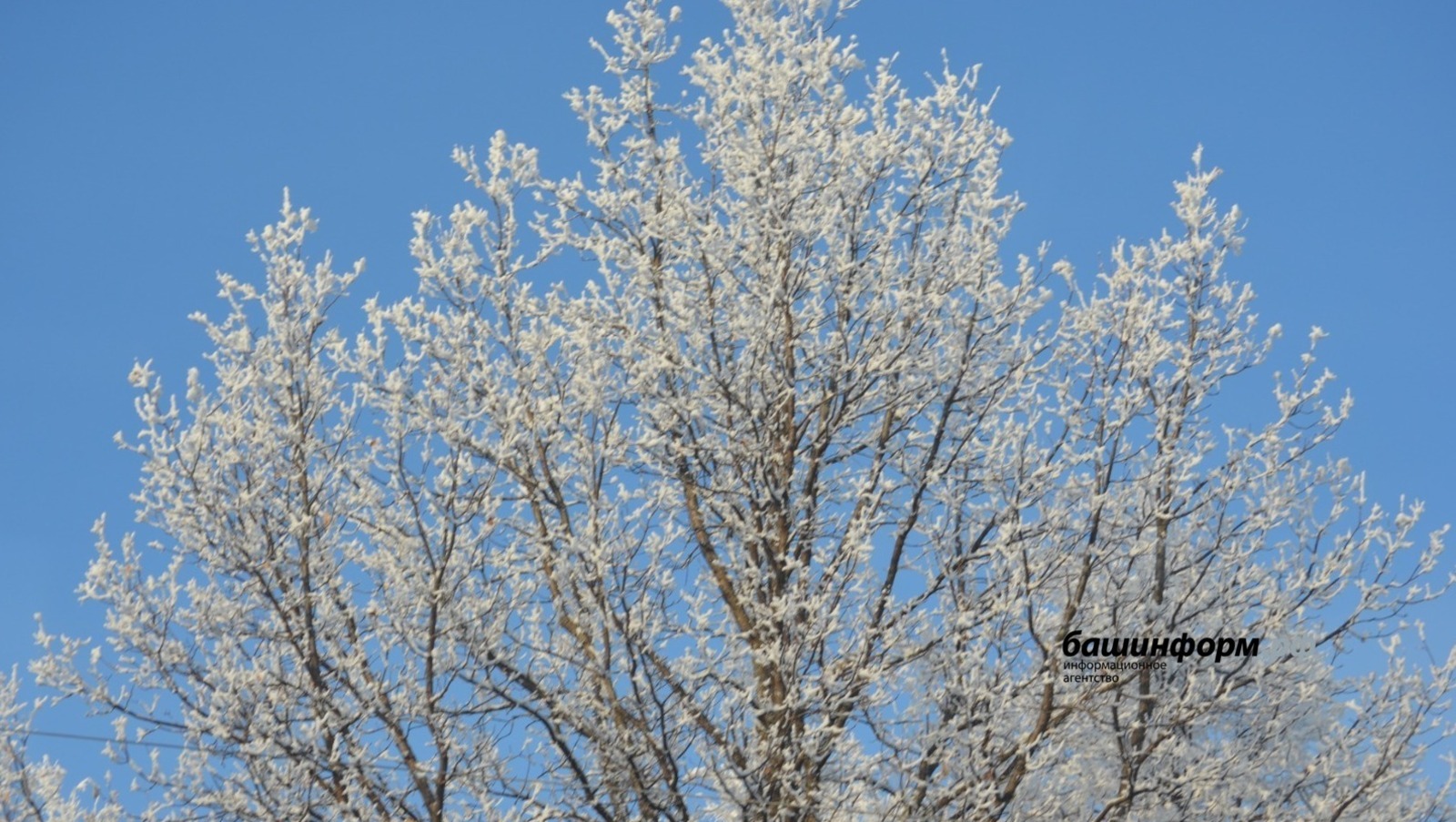 В Башкирии на смену оттепели придут морозы