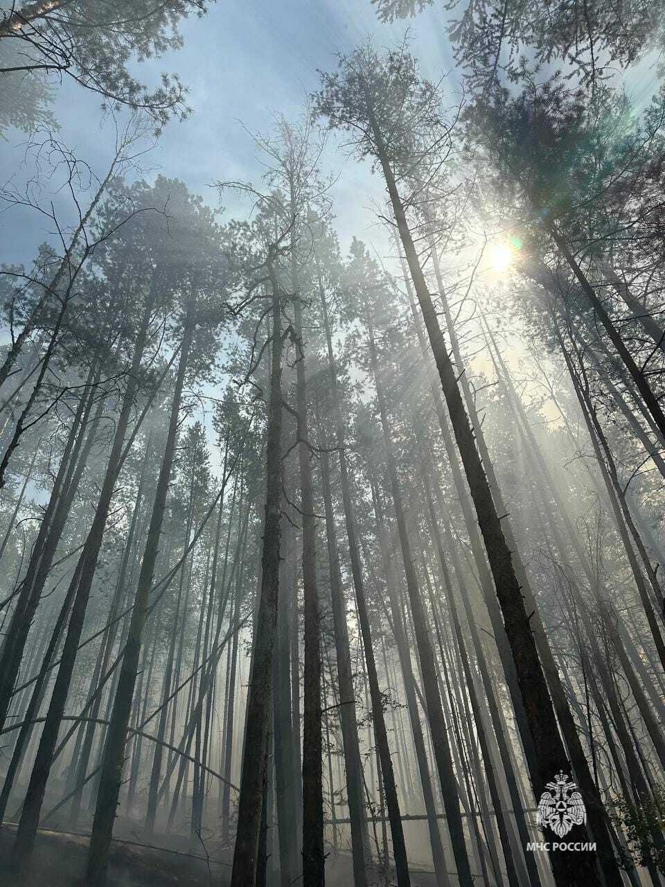 Ситуация по тушению лесного пожара в Белорецком районе остаётся непростой