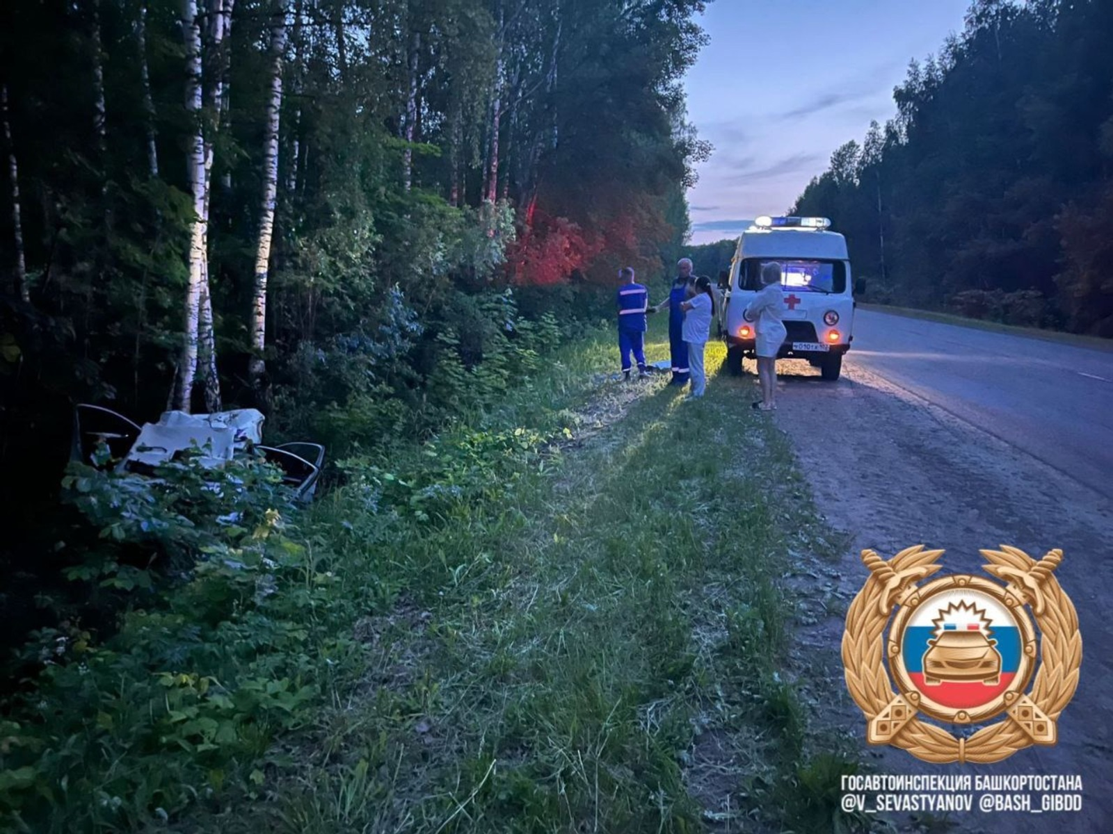 В Башкирии в столкновении с лосем погибли водитель и ребёнок