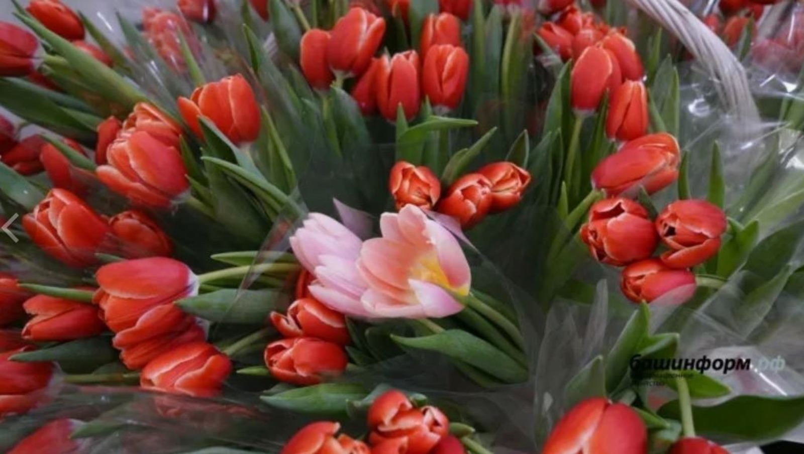 В марте в Башкирии будут две сокращенные рабочие недели