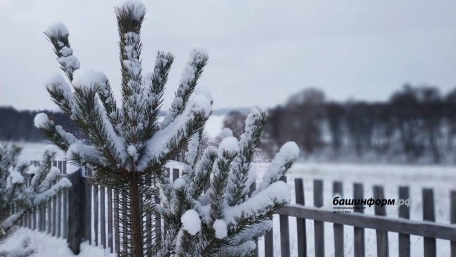 Жителей Башкирии предупредили о резком понижении температуры