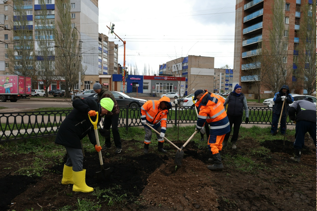 Жители Стерлитамака высадили деревья и приняли участие в  субботнике