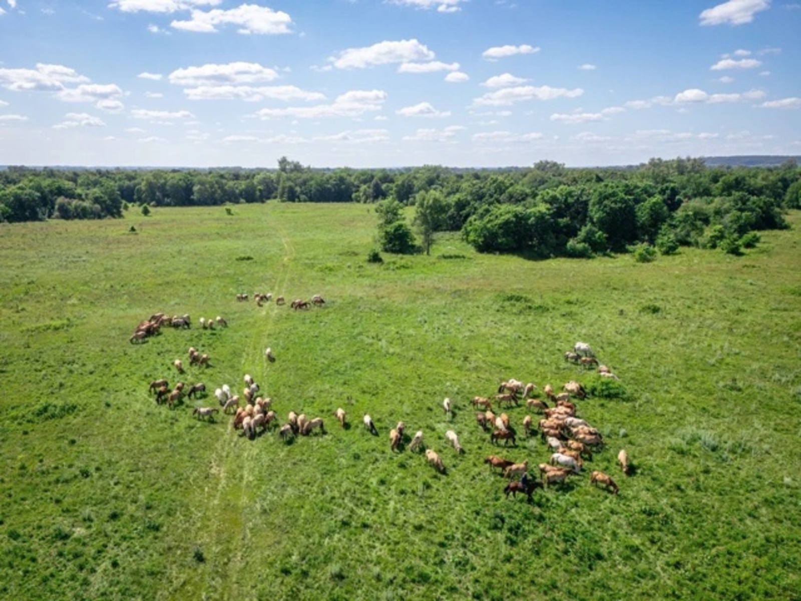 Производство кумыса в Башкирии