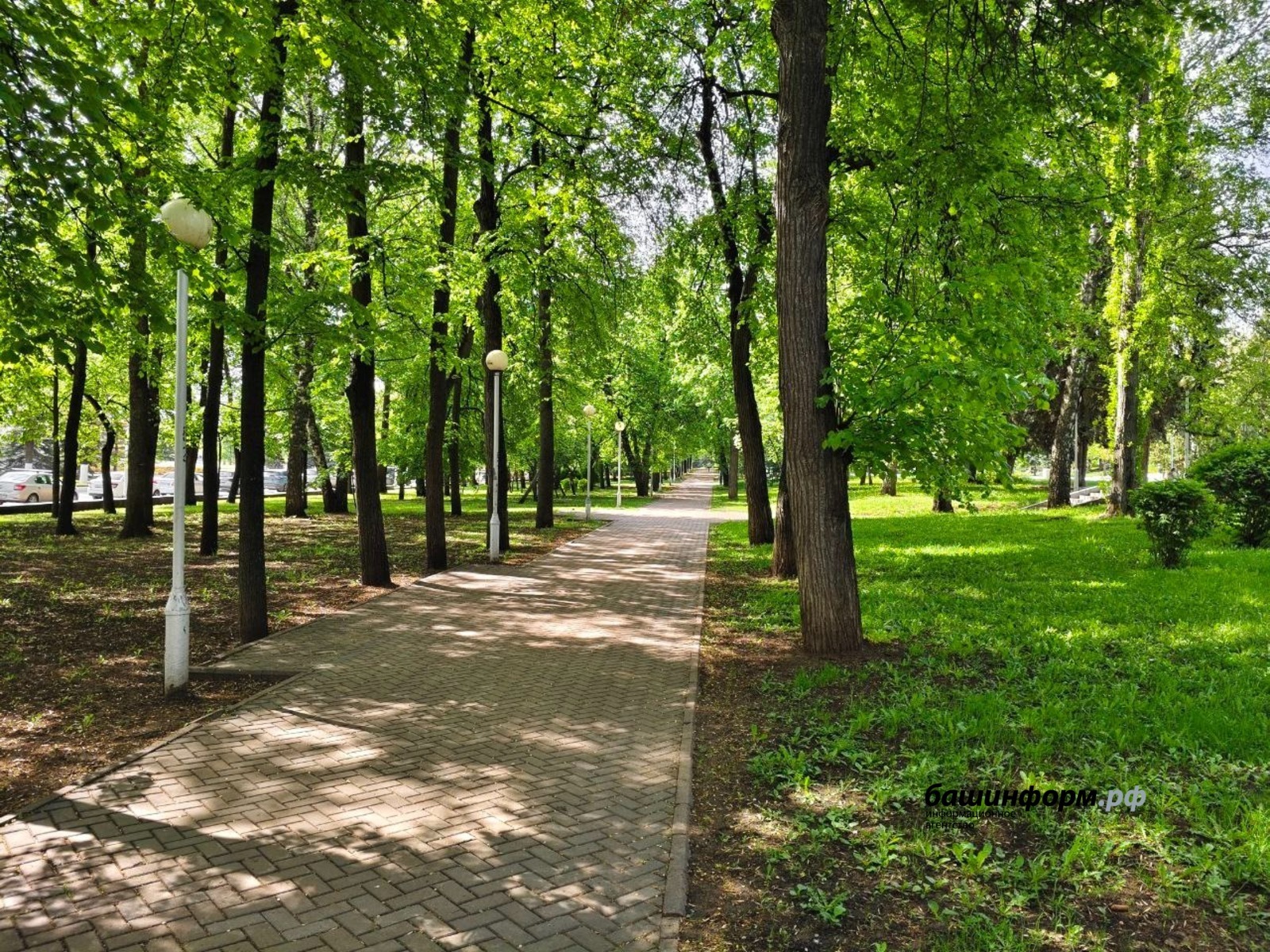 Общественные деятели взяли на контроль реконструкцию парка им. Ленина в Уфе