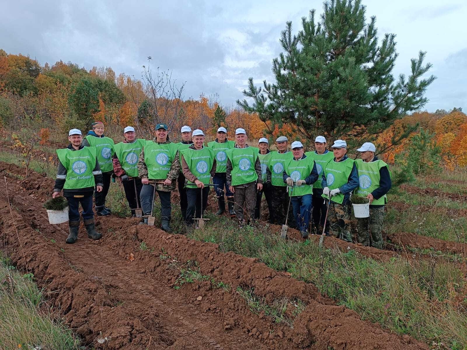 В Башкирии продолжается акция «Сохраним лес»