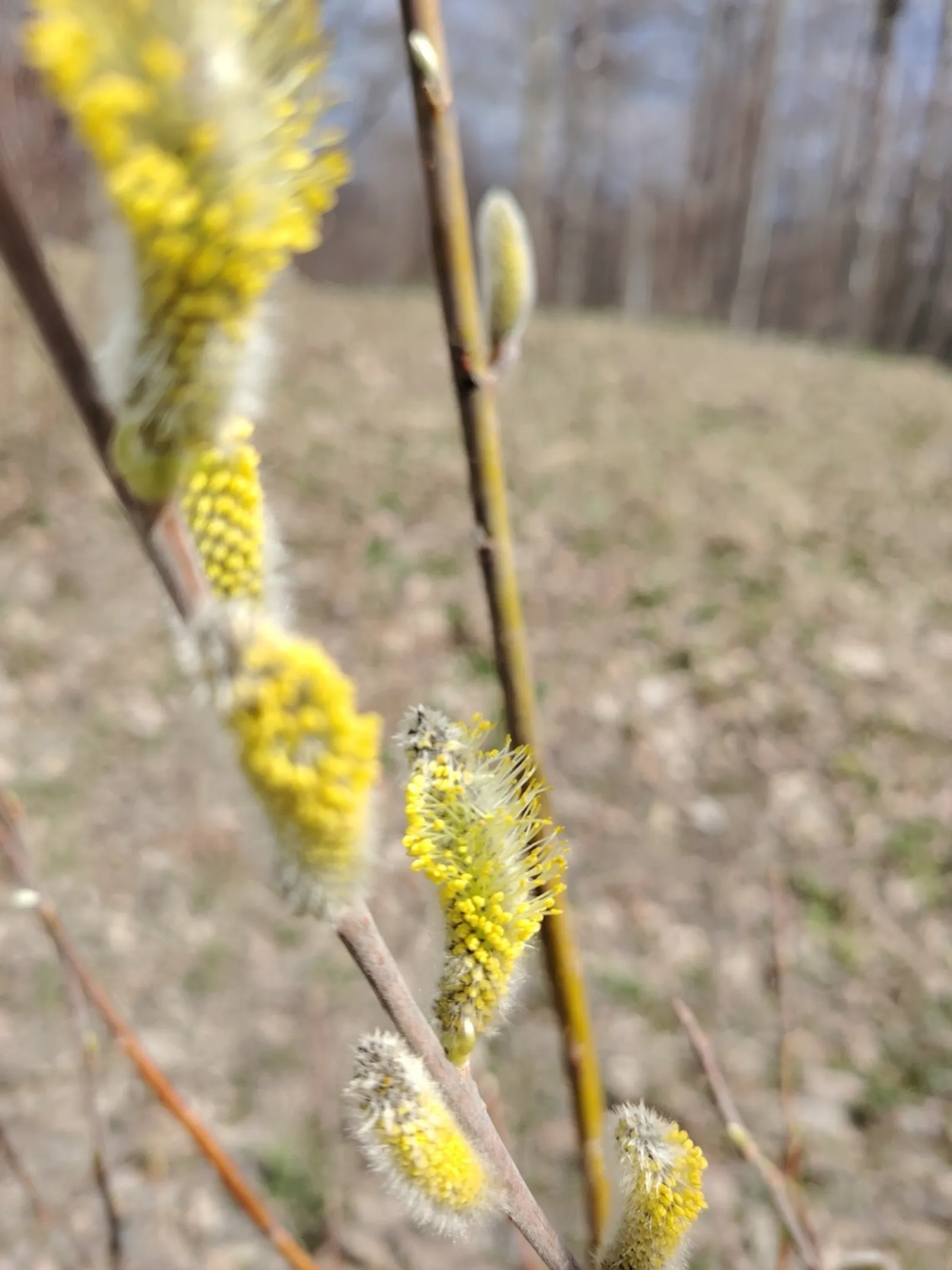 Днем до +15°, ночью до -5°: жителей Башкирии предупредили о заморозках