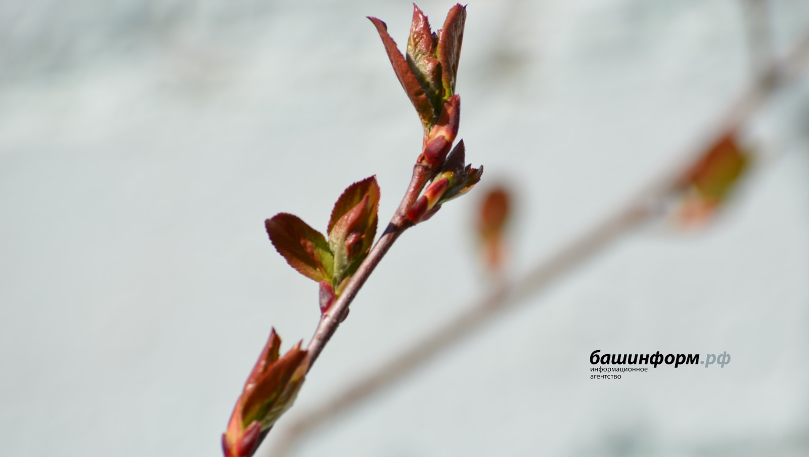 В Башкирии будет дождливо и пасмурно