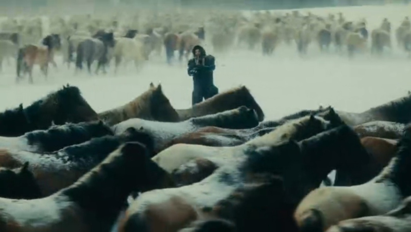 AY YOLA поделилась подробностями  съёмки для клипа полутора тысяч лошадок