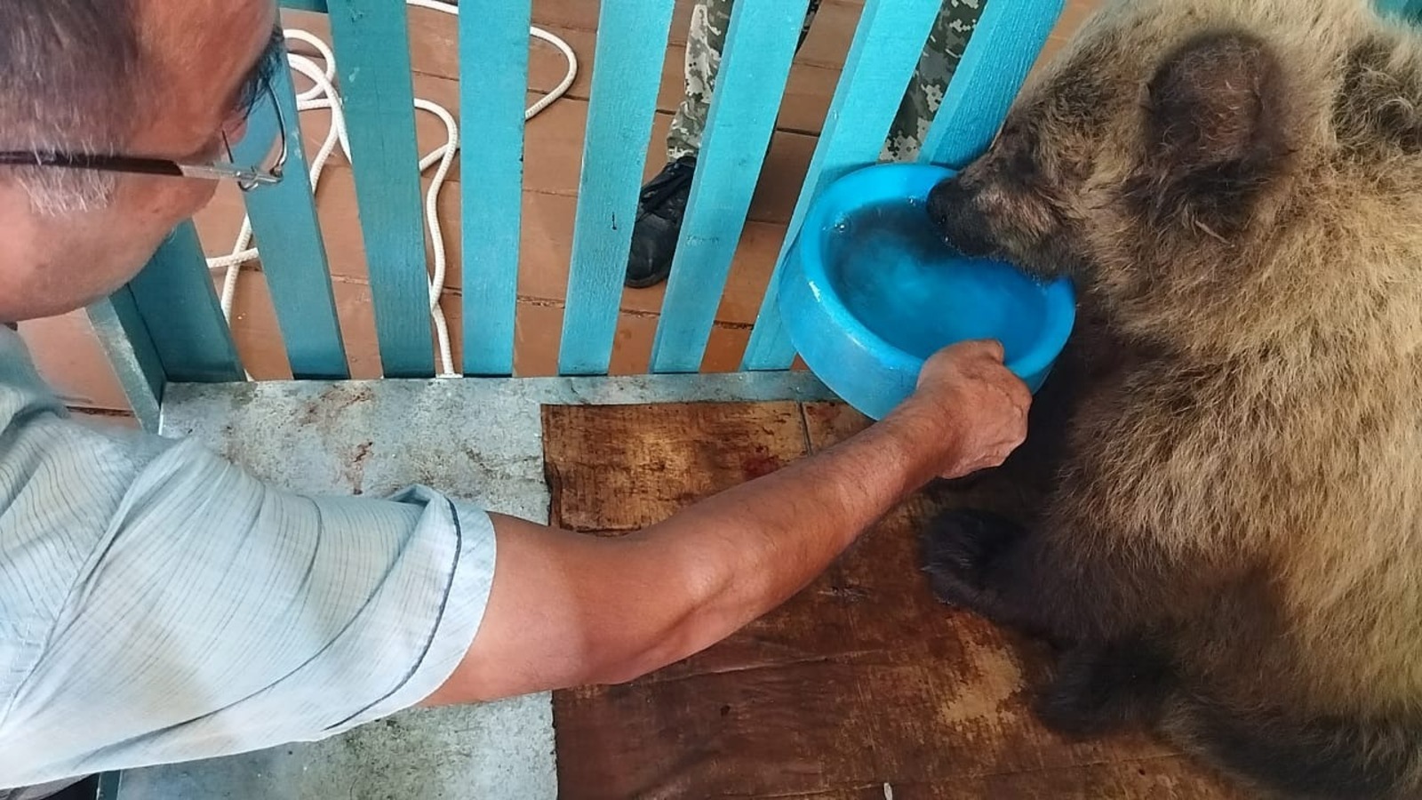 В Башкирии ветеринары спасли медвежонка