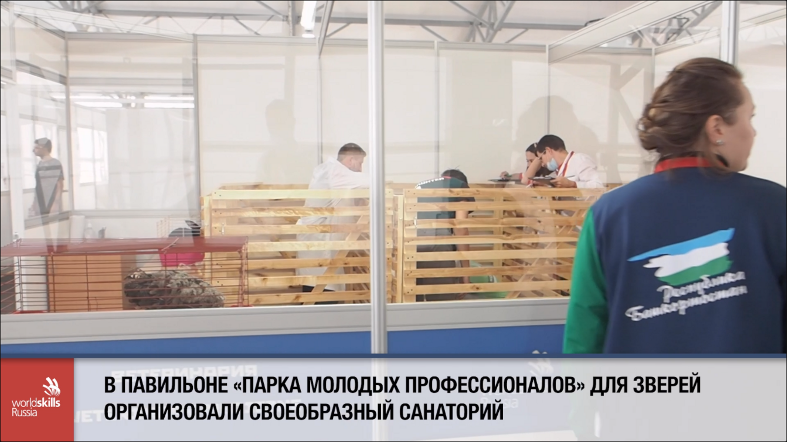 В Башкирии четвероногие и пернатые друзья стали помощниками конкурсантов в компетенции "Ветеринария"