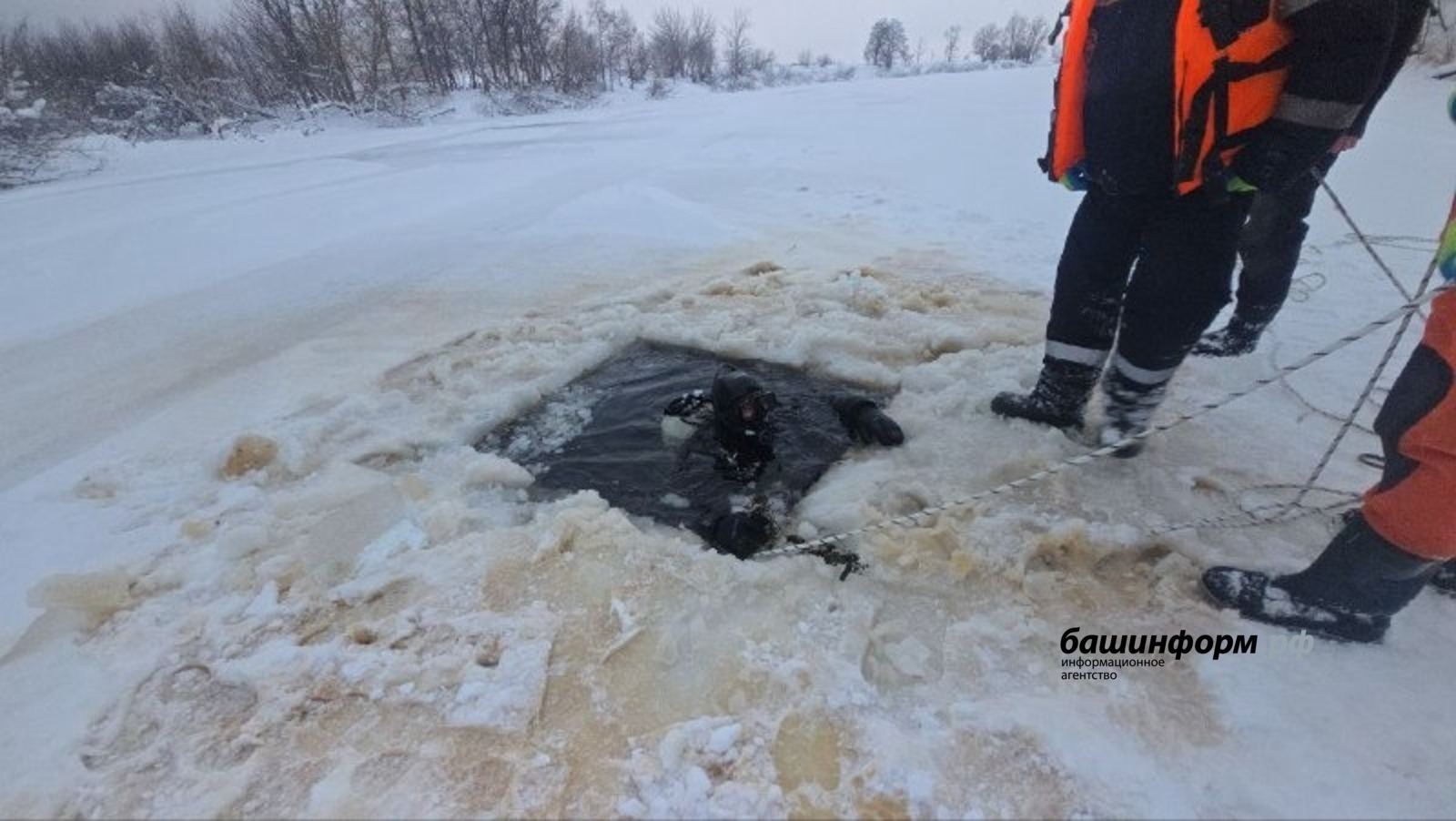 В Башкирии из озера подняли более 960 туш овец