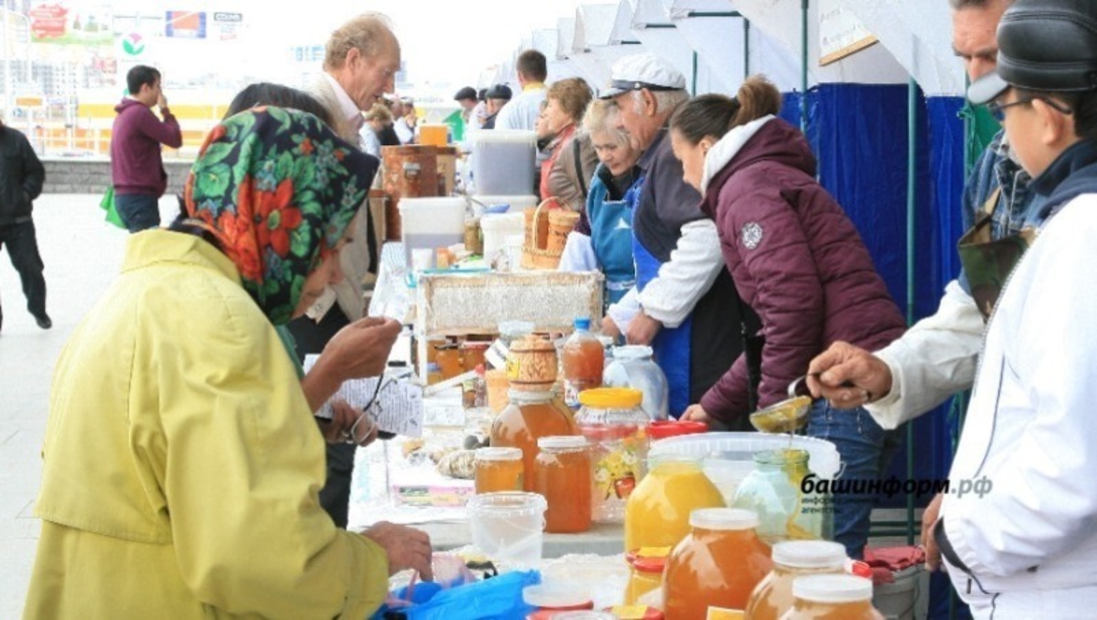 В тридцати шести муниципалитетах Башкирии пройдут сельскохозяйственные ярмарки