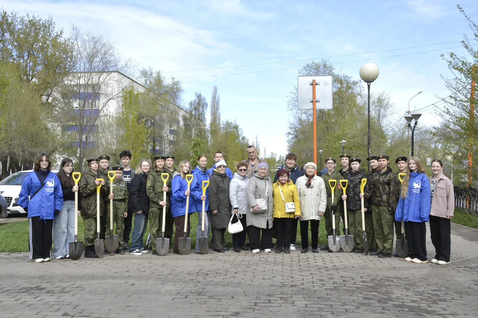 Молодые липы на аллее Чернобыльцев