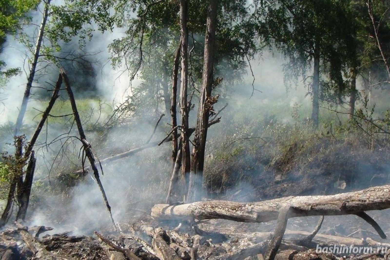 Сухая погода и беспечность отдыхающих способствуют лесным пожарам в Башкирии