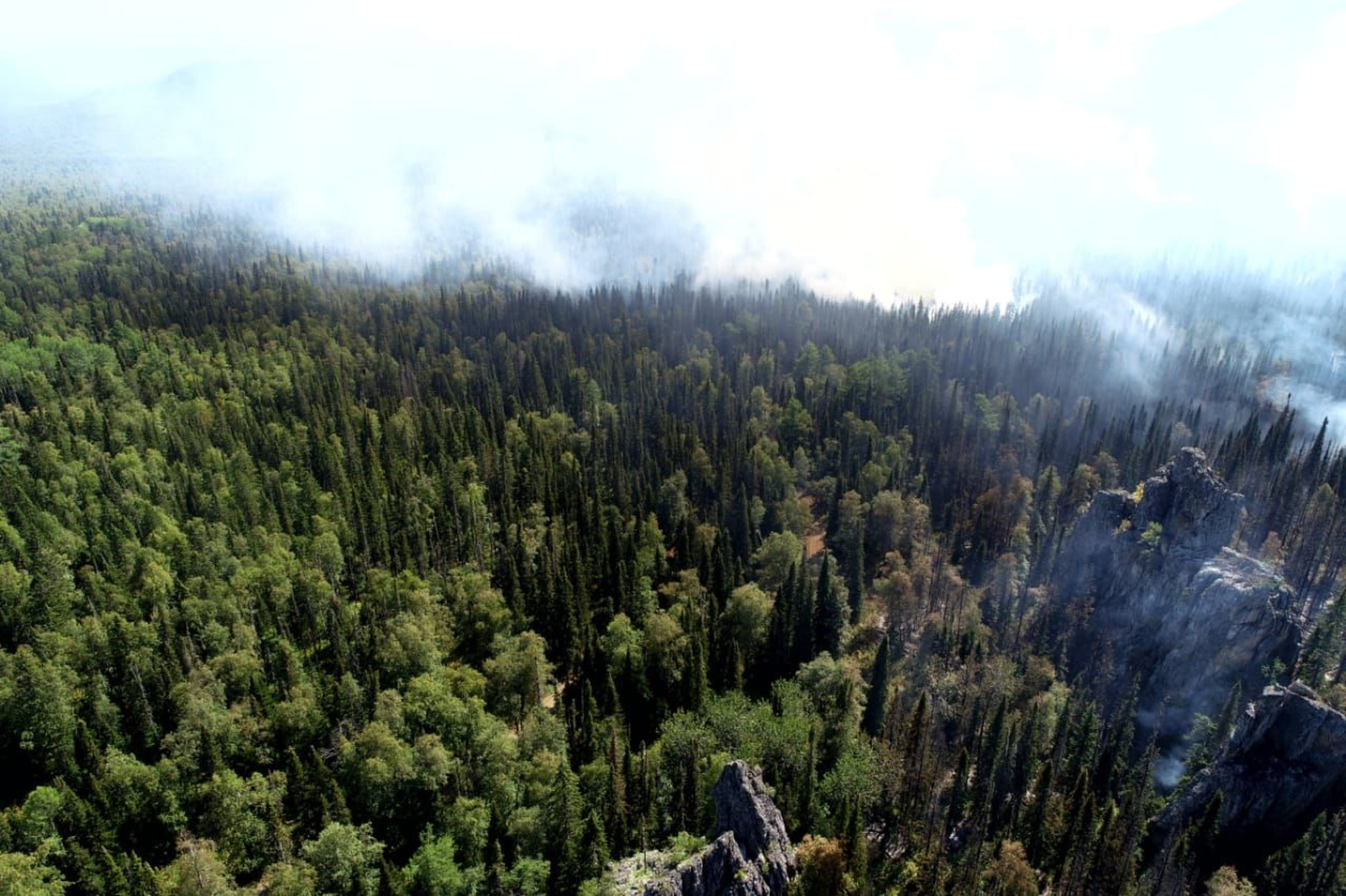 ЦУР Башкирии проводит прямые эфиры о лесных пожарах