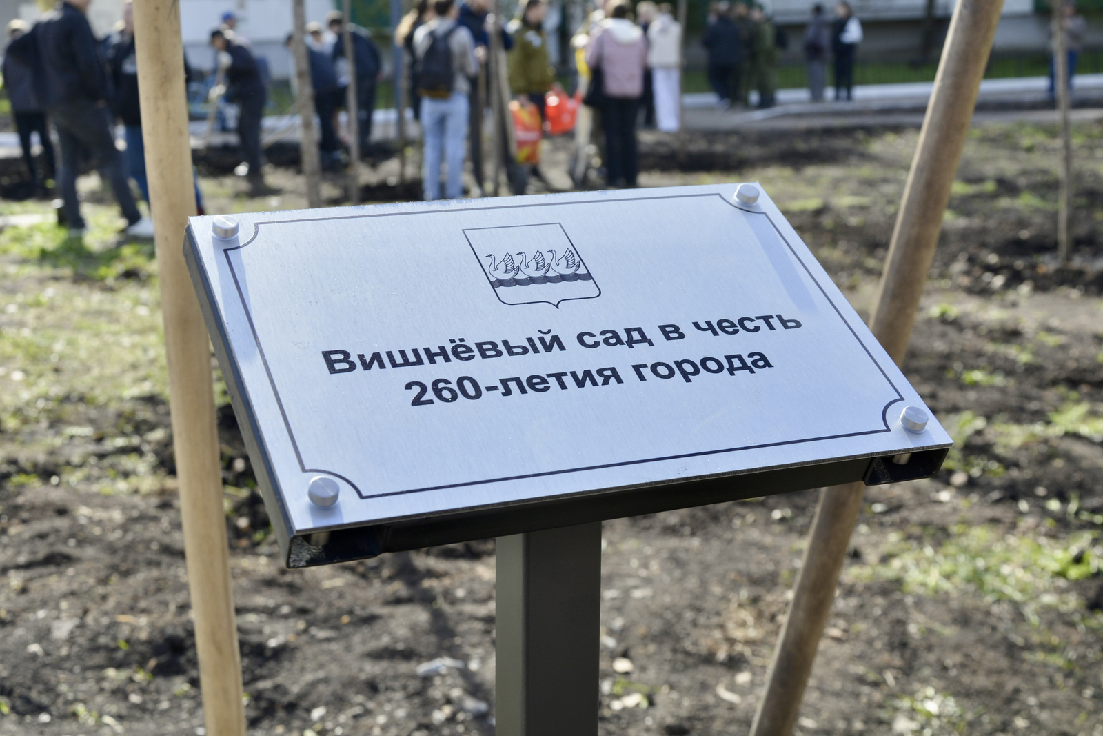 Вишнёвый сад на набережной Стерли